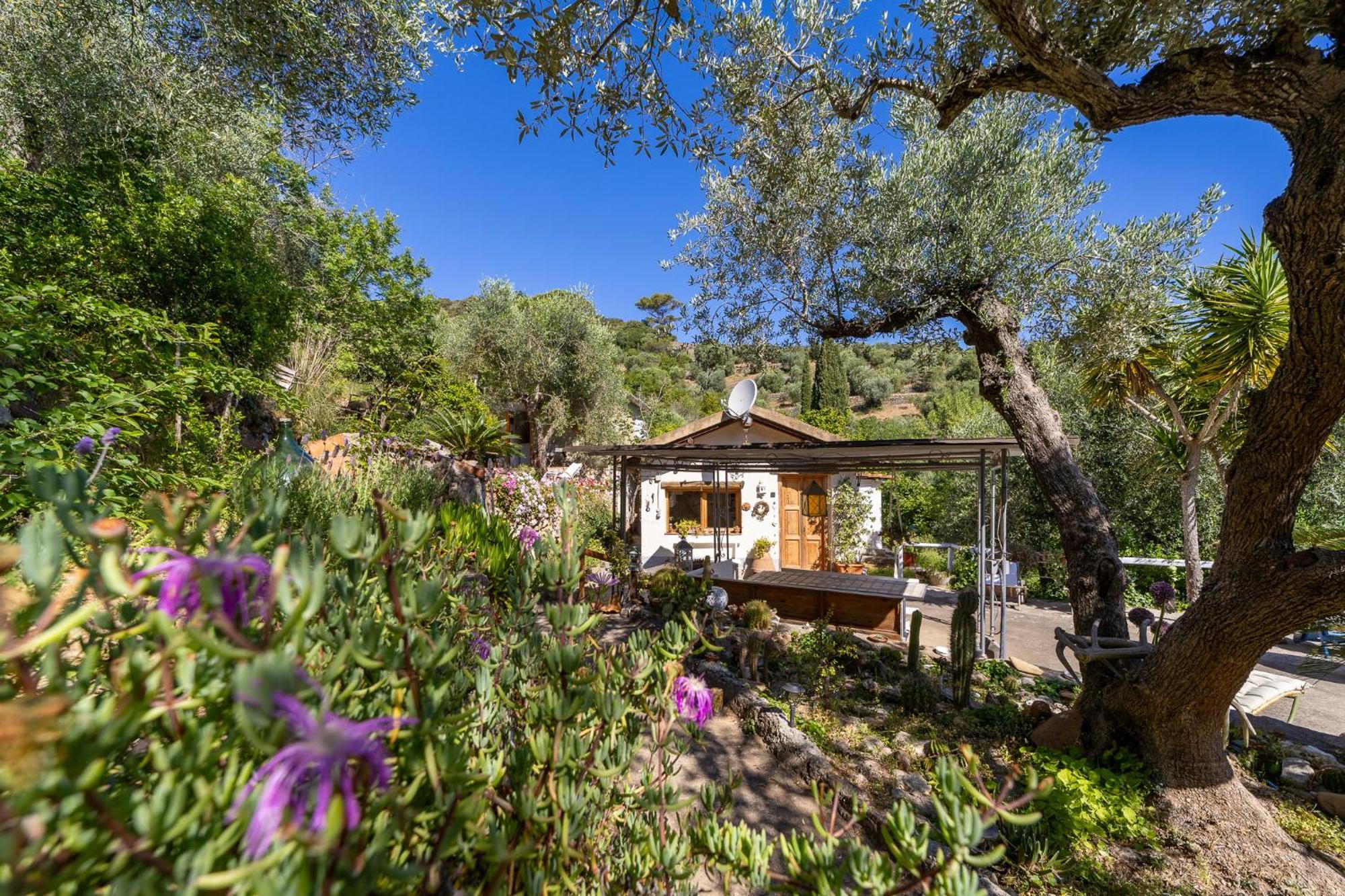 Cottage Pura Vigna Immerso Nella Natura Vicino Al Mare Porto Santo Stefano  Exterior foto